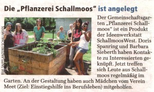 2013-07-15 Salzburger Nachrichten Lokalausgabe S.17